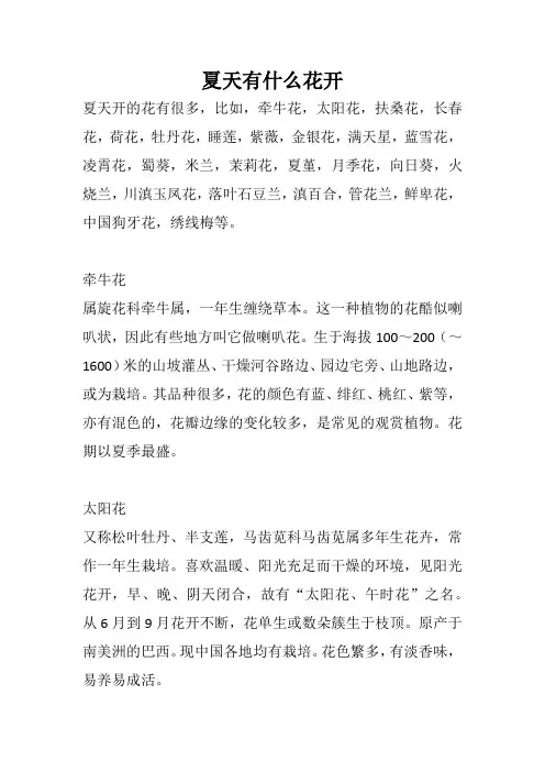 夏天有什么花开
