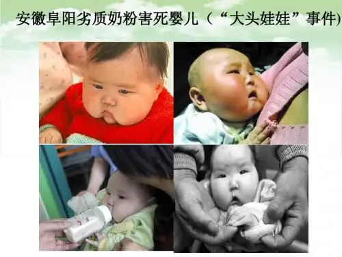 生命活动的主要承担者——蛋白质2012年5月16日