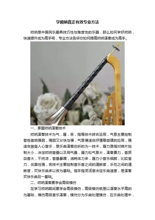 学唢呐真正有效专业方法