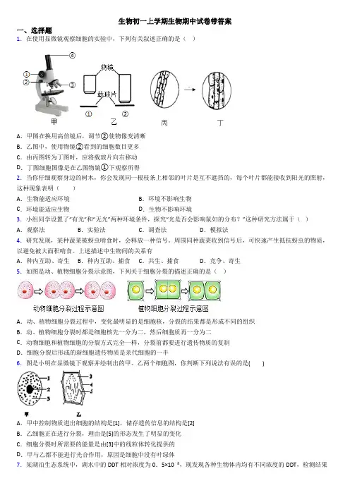 生物初一上学期生物期中试卷带答案