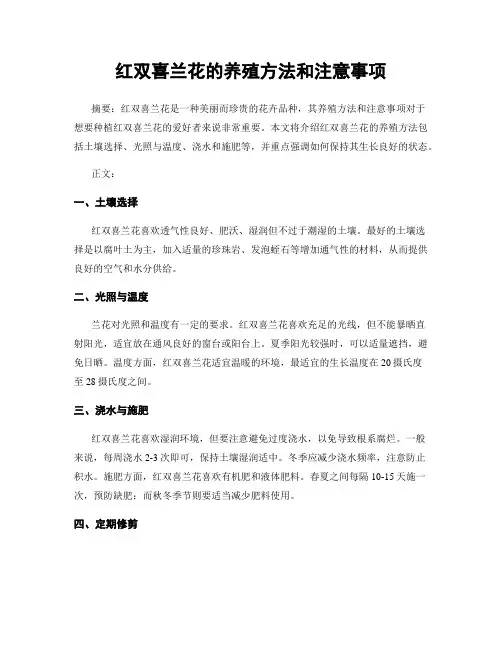 红双喜兰花的养殖方法和注意事项