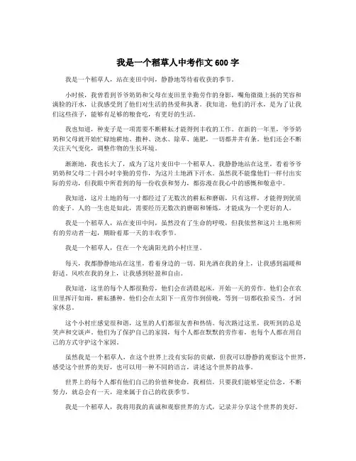 我是一个稻草人中考作文600字