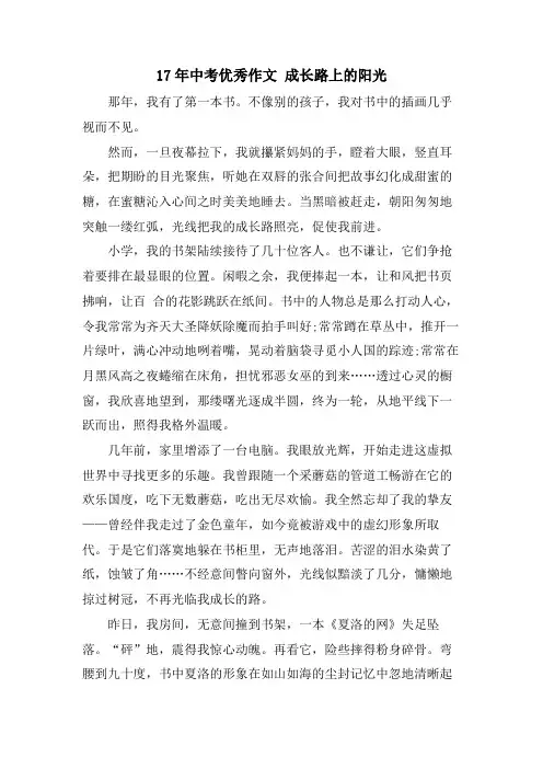 17年中考优秀作文 成长路上的阳光