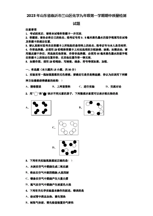 2023年山东省临沂市兰山区化学九年级第一学期期中质量检测试题含解析