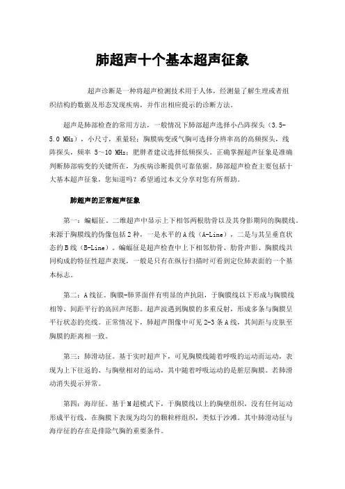 肺超声十个基本超声征象