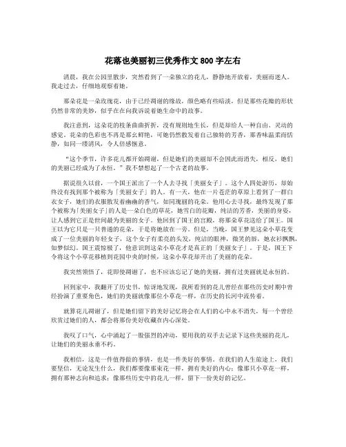 花落也美丽初三优秀作文800字左右