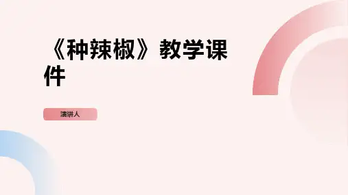 种辣椒(2023版ppt)