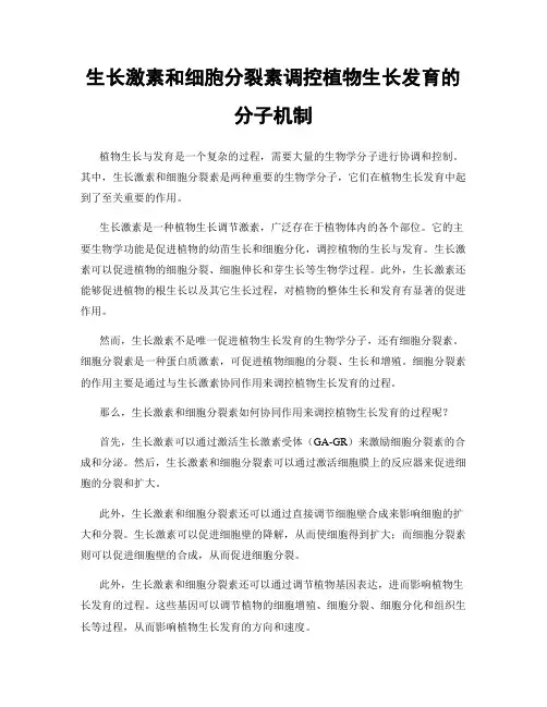 生长激素和细胞分裂素调控植物生长发育的分子机制