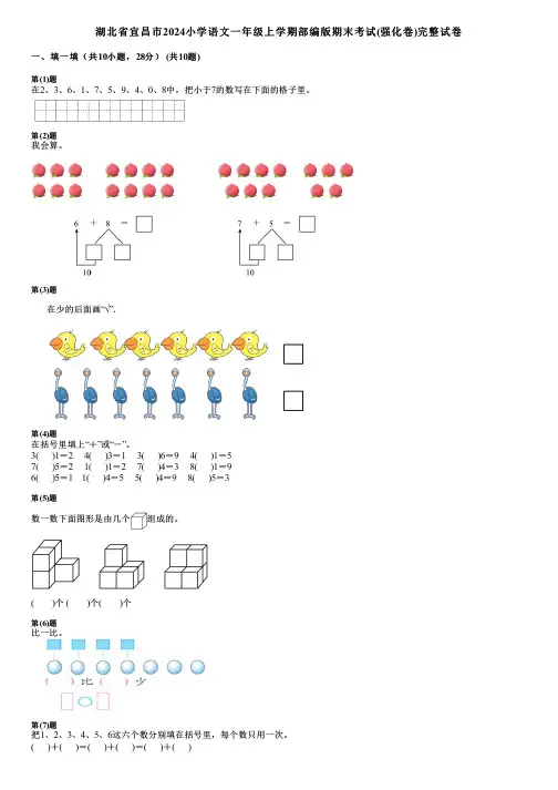 湖北省宜昌市2024小学数学一年级上学期部编版期末考试(强化卷)完整试卷