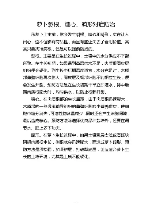 萝卜裂根、糠心、畸形对症防治