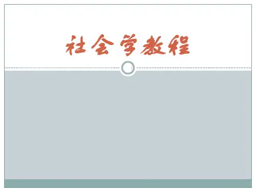 社会组织ppt课件
