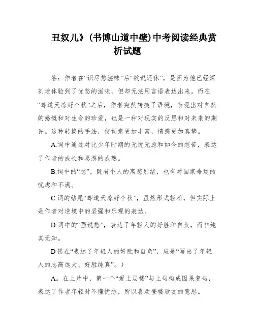 丑奴儿》(书博山道中壁)中考阅读经典赏析试题