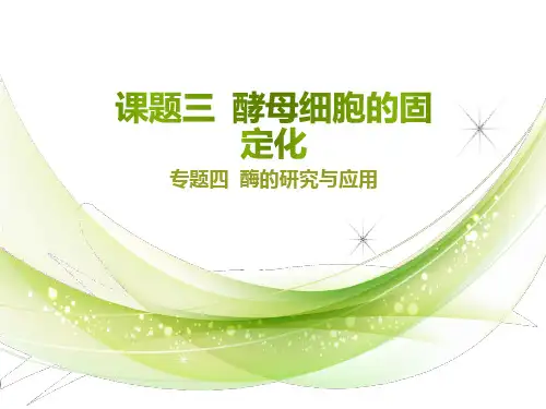 人教版高中生物选修一4.3 酵母细胞的固定化教学课件