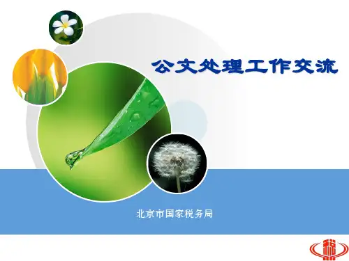 公文处理工作交流(规则流转)ppt