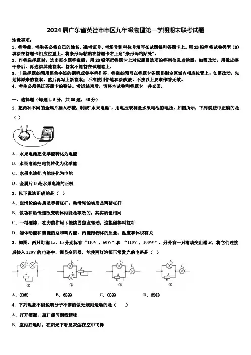 2024届广东省英德市市区九年级物理第一学期期末联考试题含解析