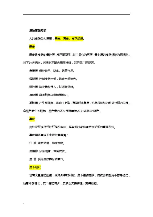 皮肤基础知识
