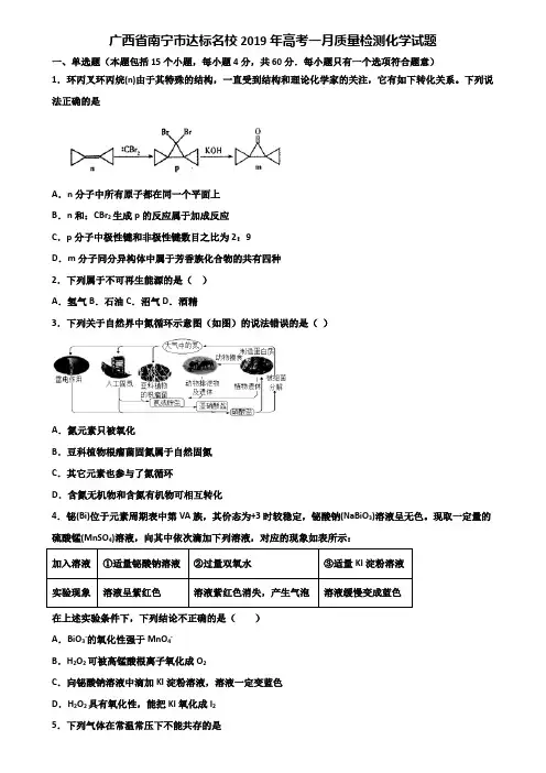 广西省南宁市达标名校2019年高考一月质量检测化学试题含解析