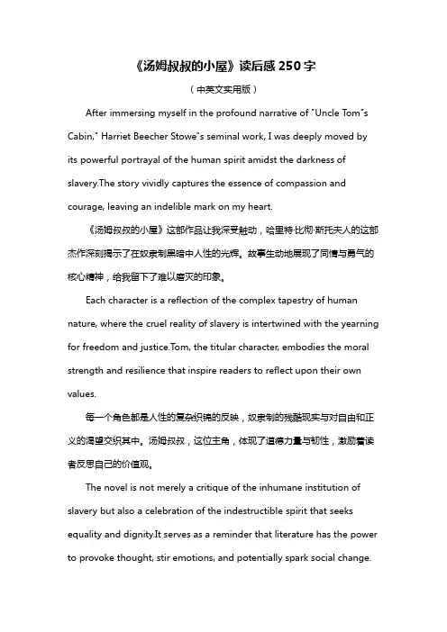 《汤姆叔叔的小屋》读后感250字