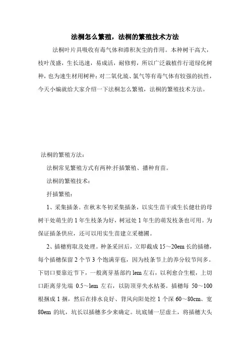 法桐怎么繁殖,法桐的繁殖技术方法.doc
