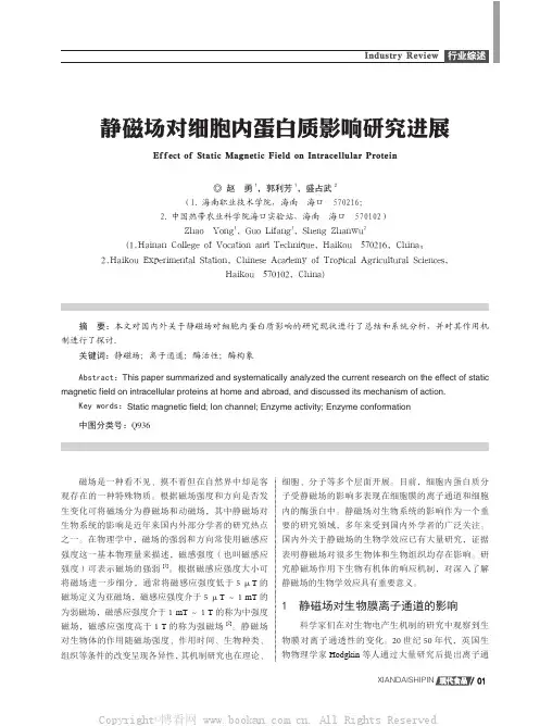 静磁场对细胞内蛋白质影响研究进展