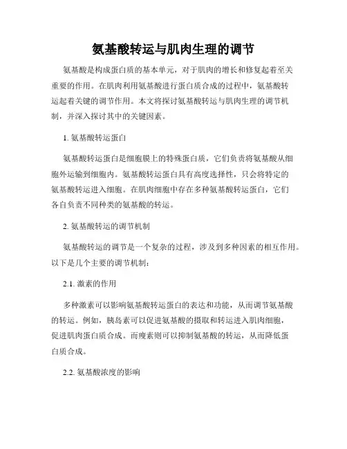 氨基酸转运与肌肉生理的调节