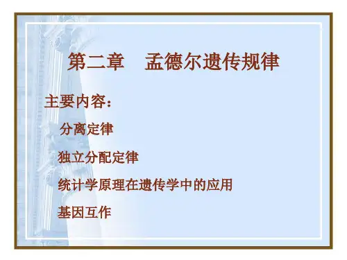 第二章孟德尔遗传规律精品文档