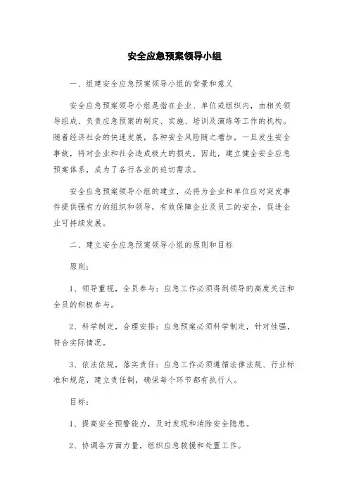 安全应急预案领导小组