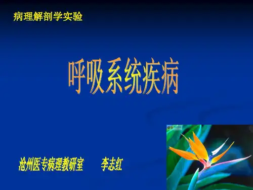 呼吸系统疾病