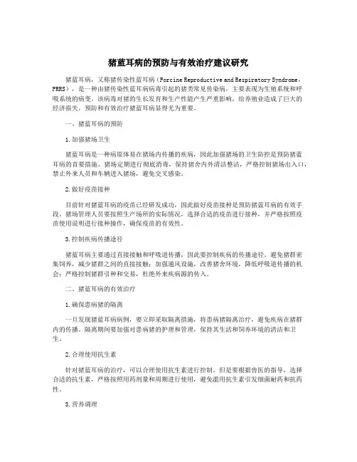 猪蓝耳病的预防与有效治疗建议研究