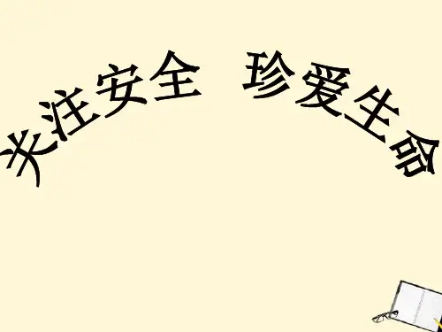 主题班会-关注安全-珍爱生命ppt课件