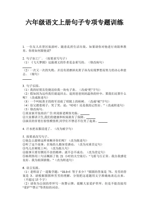 六年级语文上册句子专项专题训练