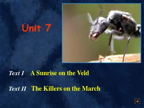 新编英语教程4 unit7