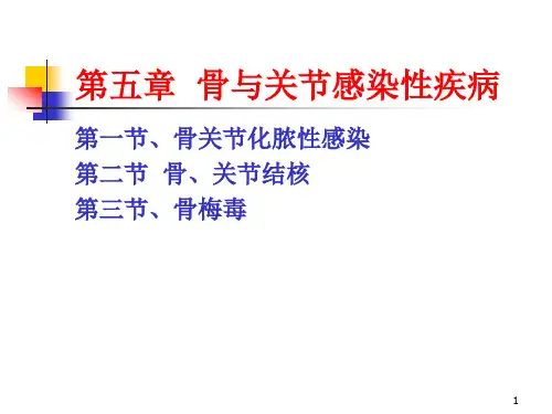 骨与关节感染性疾病ppt课件