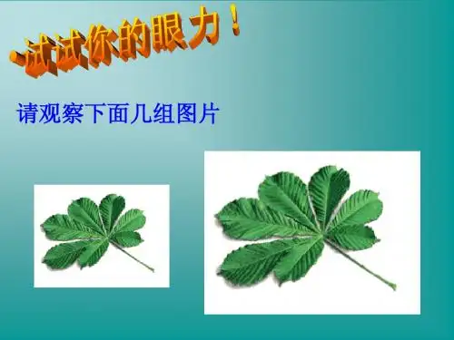 九年级数学27.1_图形的相似课件人教版