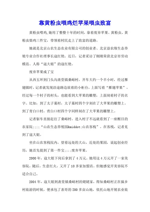 靠黄粉虫喂鸡烂苹果喂虫致富