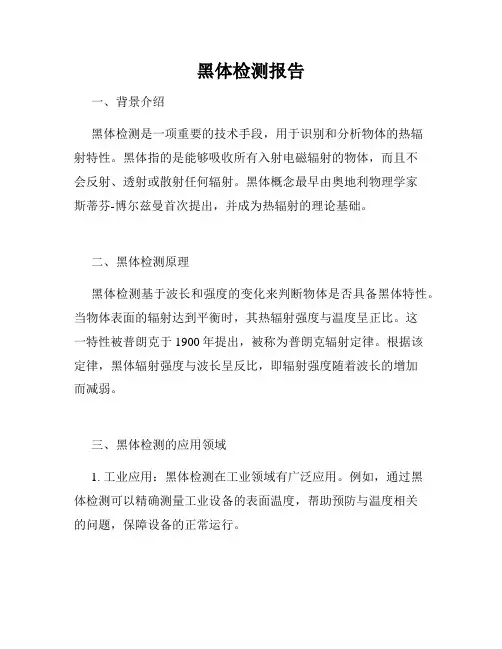 黑体检测报告