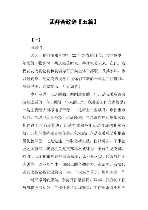 团拜会致辞【五篇】