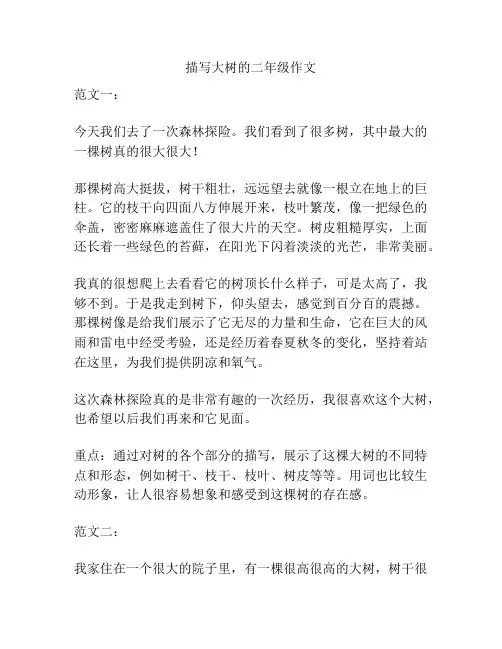 描写大树的二年级作文