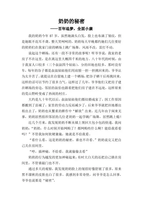 奶奶的秘密——百年追梦,全面小康