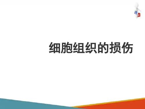 细胞和组织的适应、损伤与修复 细胞和组织的损伤(病理学课件)