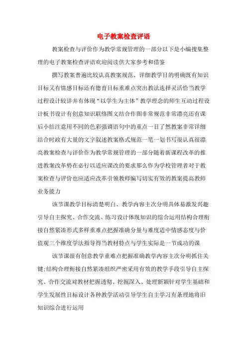 电子教案检查评语