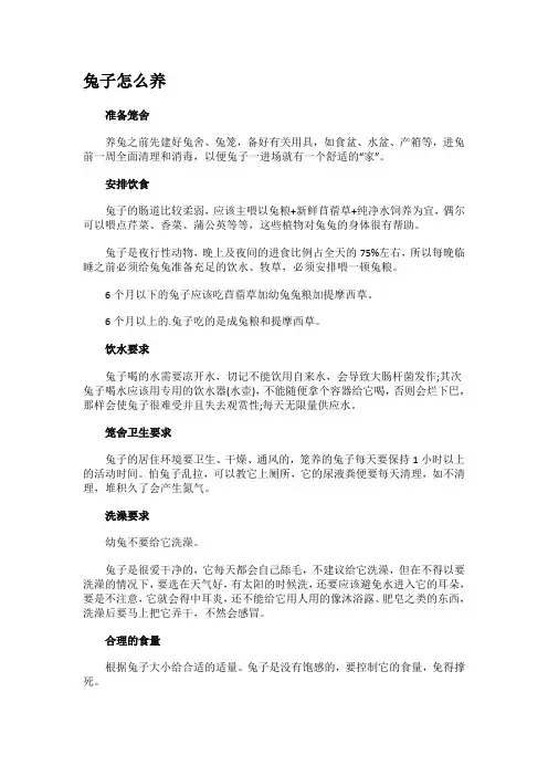 养兔子的技巧
