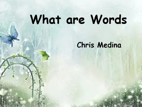 英文歌曲赏析what are words-5
