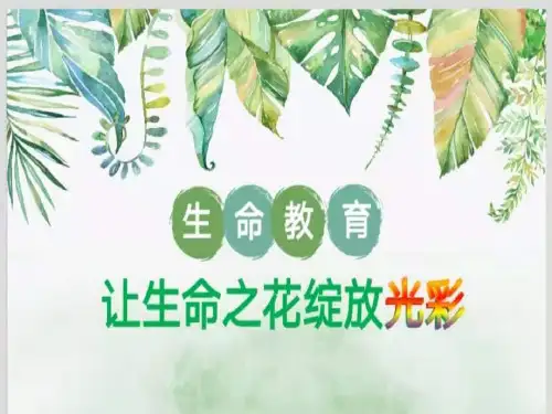 生命教育：让生命之花绽放光彩 课件 小学六年级班会 通用版