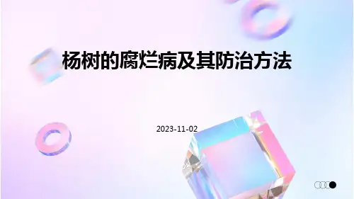 杨树的腐烂病及其防治方法