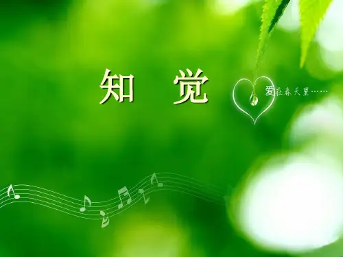 知觉 PPT课件