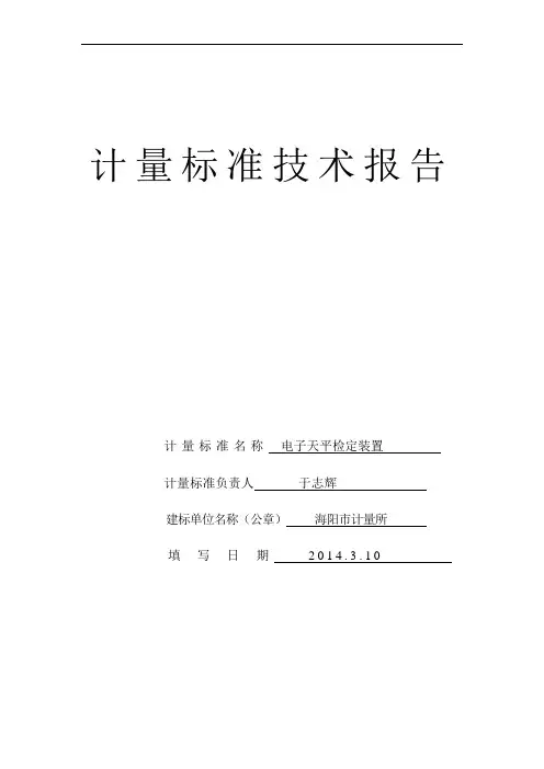 电子天平检定装置技术报告