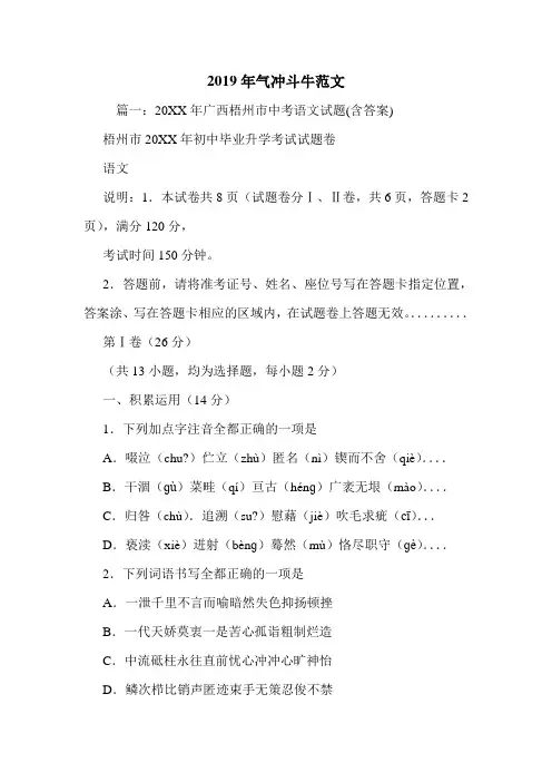 2019年气冲斗牛范文.doc