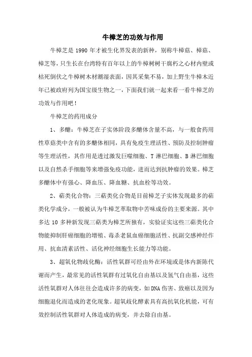 牛樟芝的功效与作用