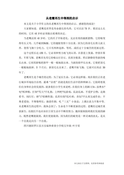 从老鹰再生中得到的启示_小学作文